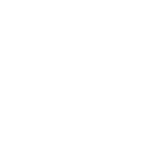 Twin Health India Logo